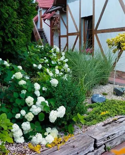 Heweliusz House Апартаменты *