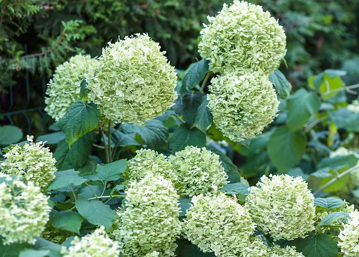 شقة Heweliusz House ستيغنا